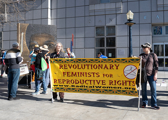 Reproductive Justice SF 31 (© Terry Scussel)