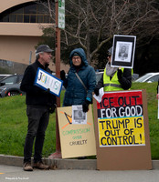 ICE Killings, San Rafael 15 (© Terry Scussel) copy