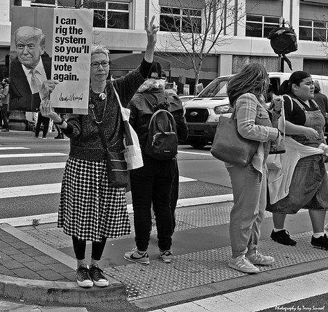 Trump TakeDown SF 35 (© Terry Scussel) copy