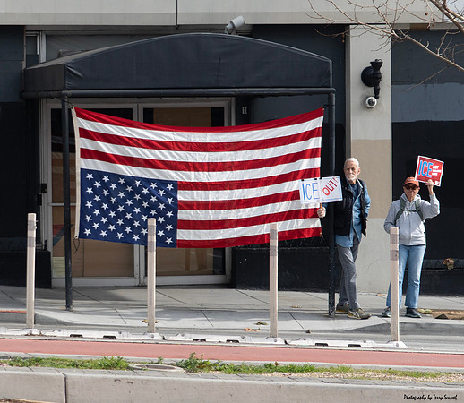 Trump Take_Down SF 4 (© Terry Scussel) copy