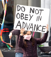 Trump Take_Down SF 10 (© Terry Scussel) copy