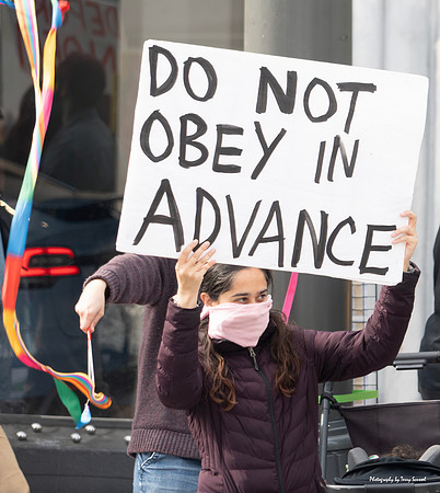 Trump Take_Down SF 10 (© Terry Scussel) copy