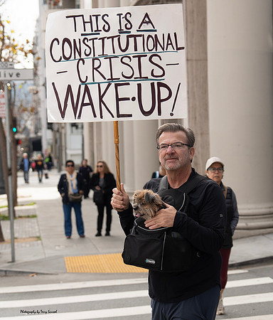 Trump Take_Down SF 15 (© Terry Scussel) copy