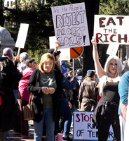 50501-Sacto Protest 10 (Terry Scussel