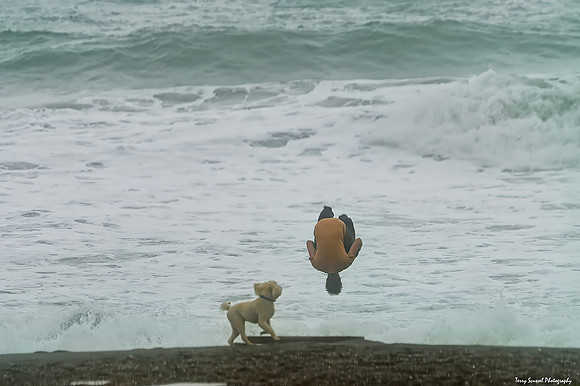 Somersault at Rodeo Beach 2 (Terry Scussel)
