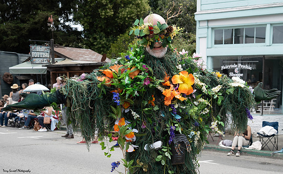 Fairfax Parade & Festival 2024 - 65 (Terry Scussel)