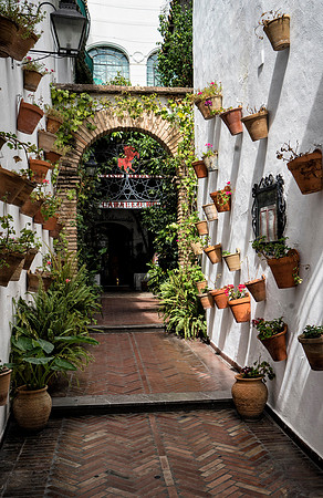 Cordoba Street 1