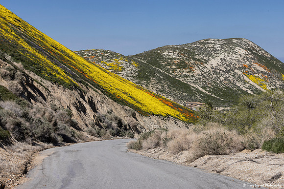 Klipstein Canyon Road 1, Maricopa copy