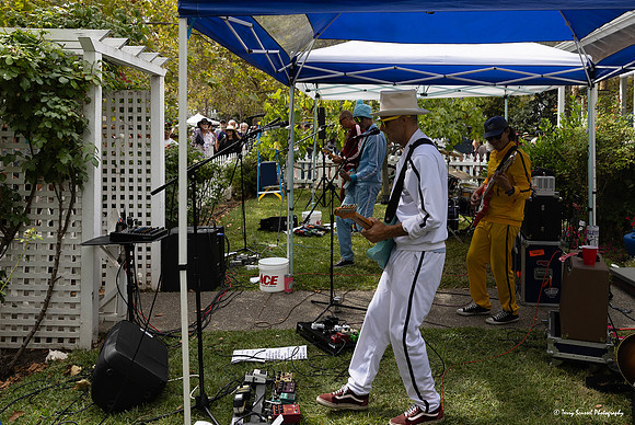 SR Porch Fest 2024 Le Minivans 6 (Terry Scussel)