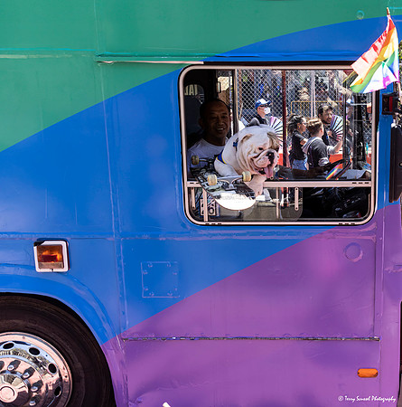 SF Pride 50 (Terry Scussel) copy