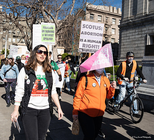 SF_ReproJustice 10 (Terry Scussel) copy