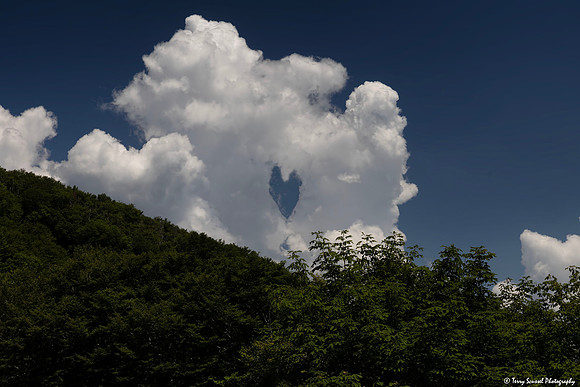 Clouds at Craggy Gardens copy