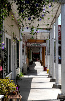 8 Al the WOPS - Locke dive bar