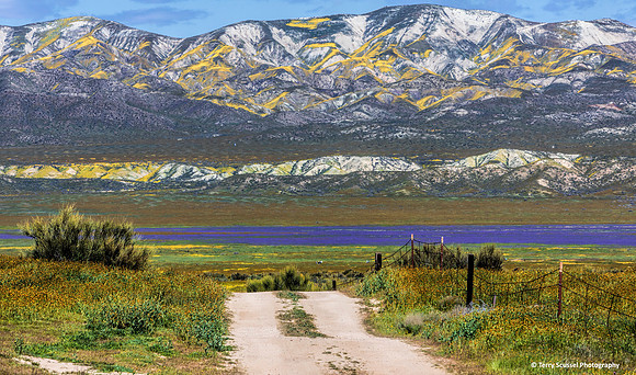 Carrizo 13 HiRes - Copy