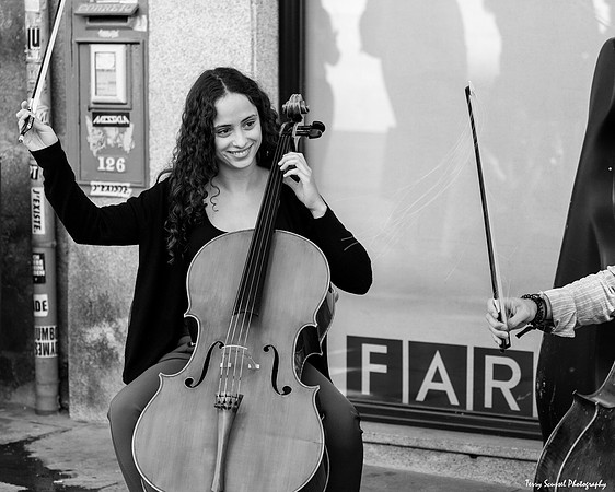 Viola Quartet, Porto