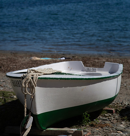 Green & White Fishing Boat 2