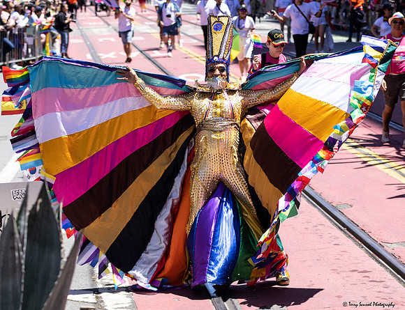 SF Pride 40 (Terry Scussel) copy
