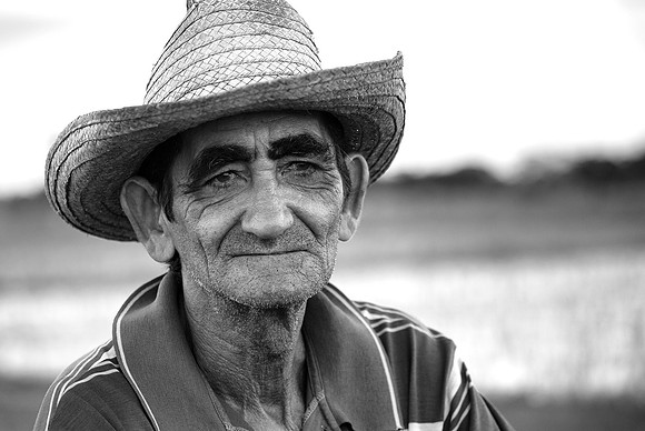 Rice Farmer 4