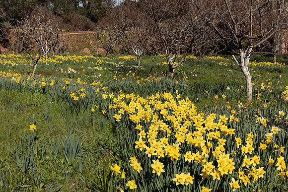 Filoli 3