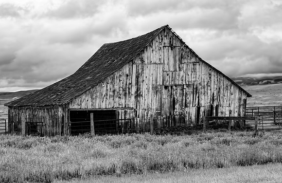 Carrizo 10 B&W - Copy