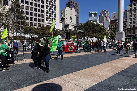 SF_ Reproductive_Rights 45 (Terry Scussel) copy