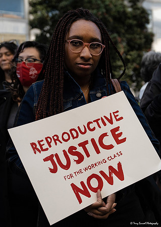SF_ReproJustice 5 (Terry Scussel) copy