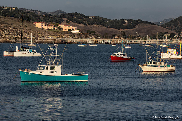 San Luis Harbor, Avila Beach jpg