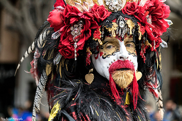 Day 41 - Carnaval SF 7
