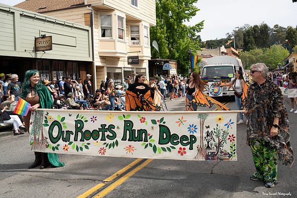 Fairfax Parade & Festival 2024 - 58 (Terry Scussel)