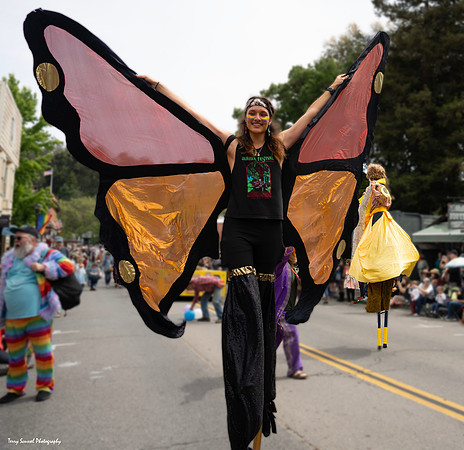 Fairfax Parade & Festival 2024 - 27 (Terry Scussel)