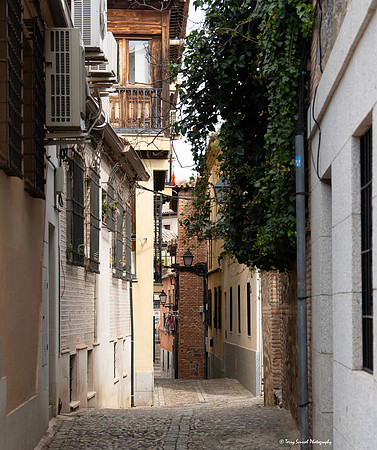 Streets & Alleys of Toledo 2 copy