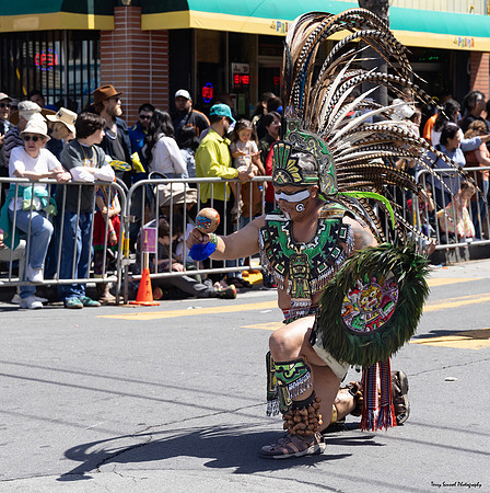 Parade 44 (Terry Scussel)