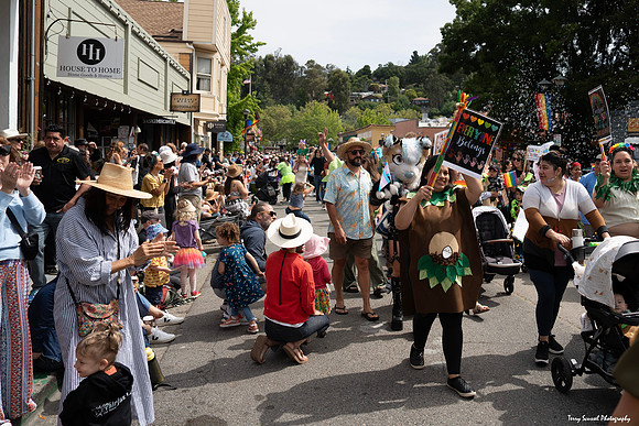 Fairfax Parade & Festival 2024 - 60 (Terry Scussel)