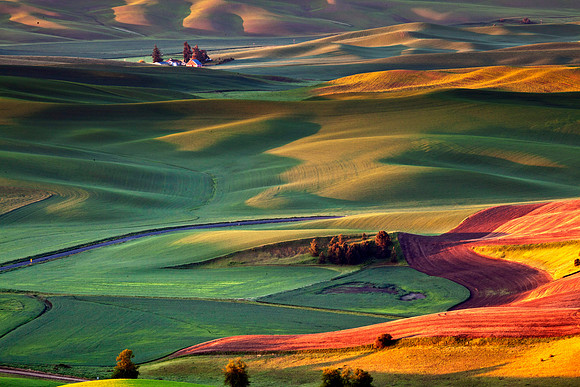 Palouse Farmland from Steptoe Butte