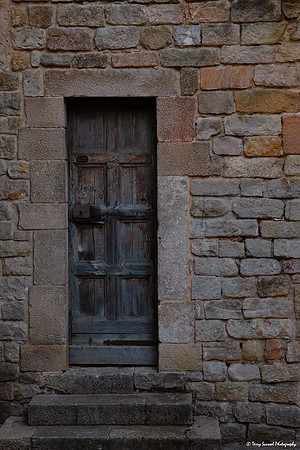 Door - Monastery of Pedralbes - Barcelona copy