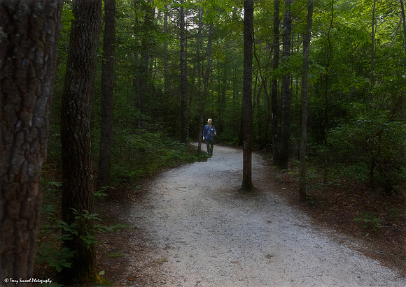Dupont State Forest Trail 5 copy