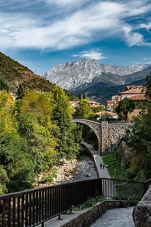 Potes 11