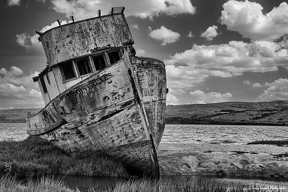 Point Reyes 2