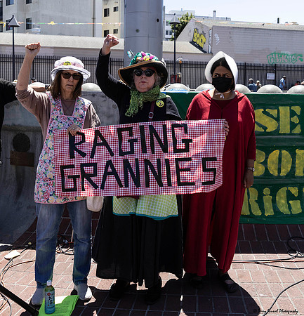 Rise_Up_for_Abortion_Rights 34 (Terry Scussel) copy