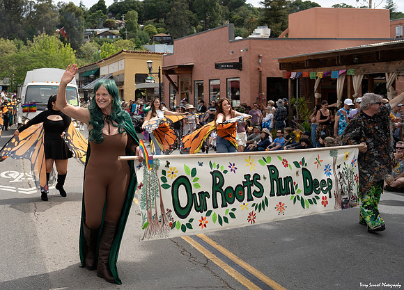 Fairfax Parade & Festival 2024 - 62 (Terry Scussel)