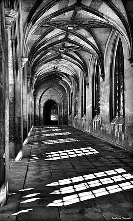Cambride Shadows