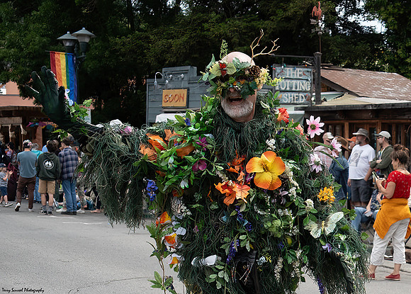 Fairfax Parade & Festival 2024 - 66 (Terry Scussel)