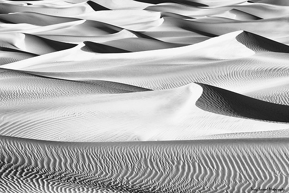 Day 28 - Mesquite Dunes - Death Valley B&W