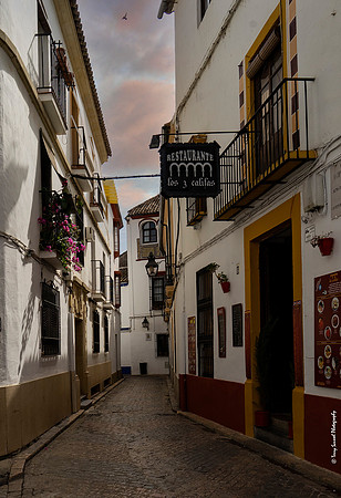 Cordoba Street 3 copy