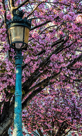 April Bloom - Copy
