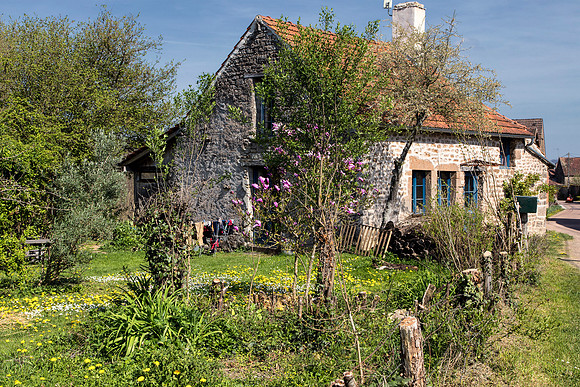Burgundy Country 1