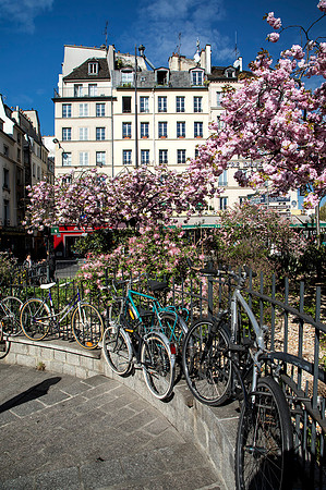 Paris in Bloom