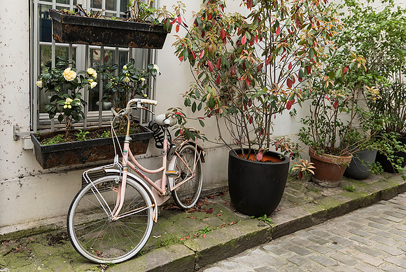 Parked Pick Bicycle