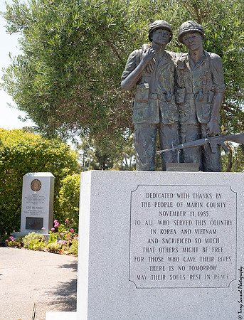 Defending Vets of D-Day 47 (Terry Scussel)