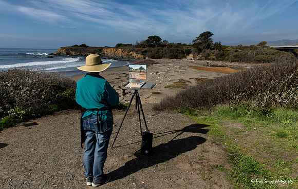 Artist at William Randolph Hearst Memorial Beach jpg